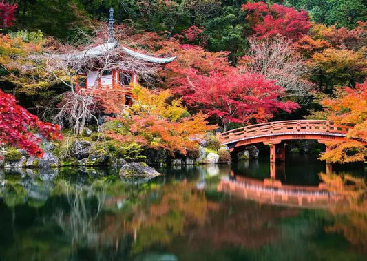 Beautiful Gardens Jigsaw Puzzle Daigo-ji, Kyoto, Japan (1000 pieces) 4005555008491