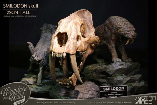 Wonders of the Wild Series Statue Smilodon Skull Fossil 22 cm 4897057885409