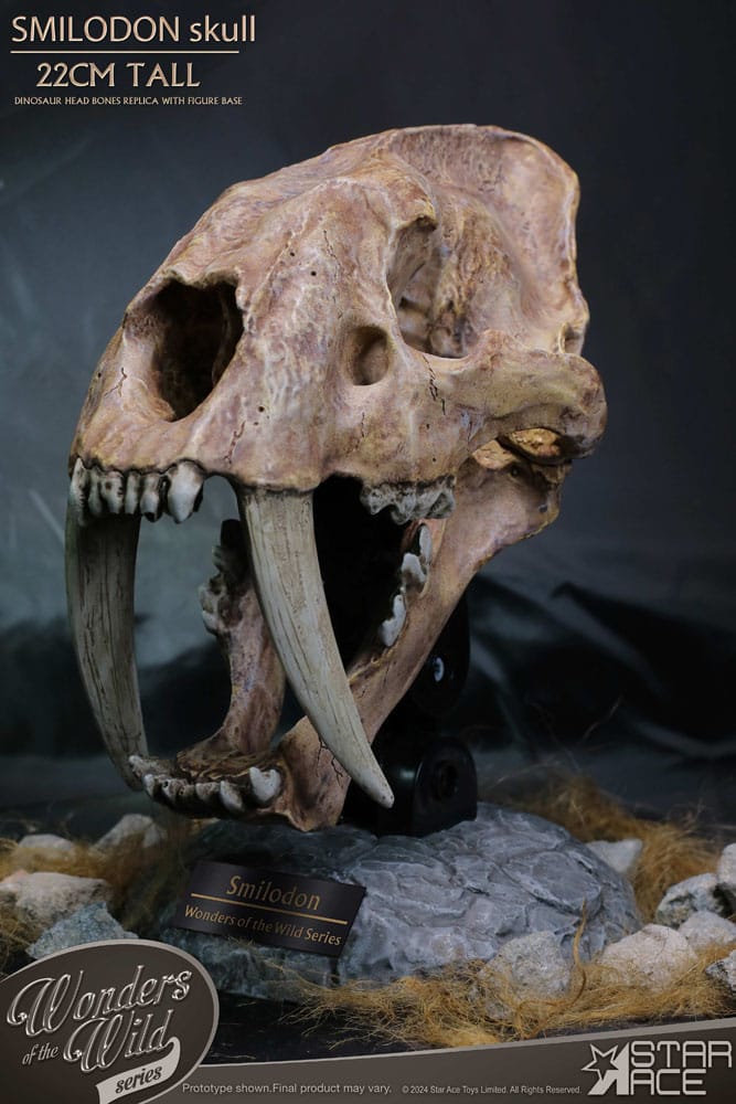 Wonders of the Wild Series Statue Smilodon Skull Fossil 22 cm 4897057885409