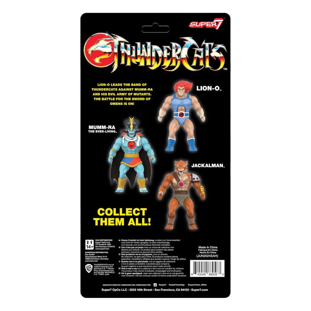 Thundercats Vintage Collection Action Figure Wave 1 Lion-O 14 cm 0840049889583