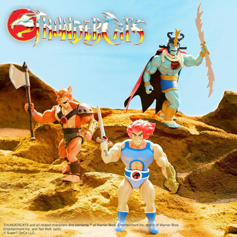 Thundercats Vintage Collection Action Figure Wave 1 Lion-O 14 cm 0840049889583