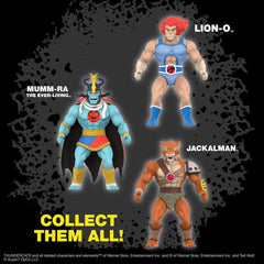 Thundercats Vintage Collection Action Figure Wave 1 Mumm-Ra (Ever Living) 14 cm 0840049889590