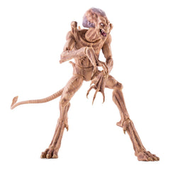 Pumpkinhead Action Figure Pumpkinhead 23 cm 0849795099529