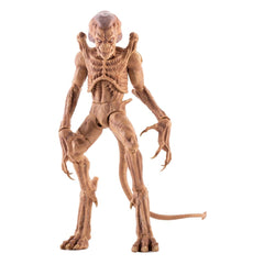 Pumpkinhead Action Figure Pumpkinhead 23 cm 0849795099529