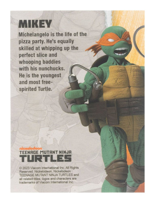 Teenage Mutant Ninja Turtles BST AXN Action Figure Michelangelo (IDW Comics) 13 cm 0810122580027