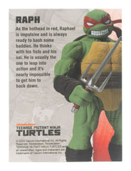 Teenage Mutant Ninja Turtles BST AXN Action Figure Raphael (IDW Comics) 13 cm 0810122580034