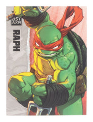 Teenage Mutant Ninja Turtles BST AXN Action Figure Raphael (IDW Comics) 13 cm 0810122580034