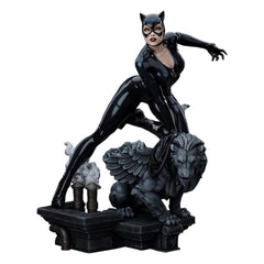 DC Comics Maquette 1/6 Catwoman 35 cm 0051497463533