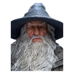 The Lord of the Rings Statue 1/6 Gandalf the Grey Pilgrim (Classic Series) 36 cm 9420024729816