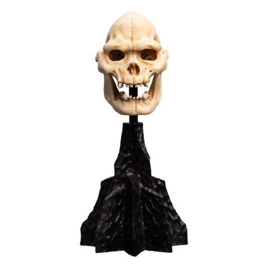 Lord of the Rings Mini Statue Skull of Lurtz 14 cm 9420024743560