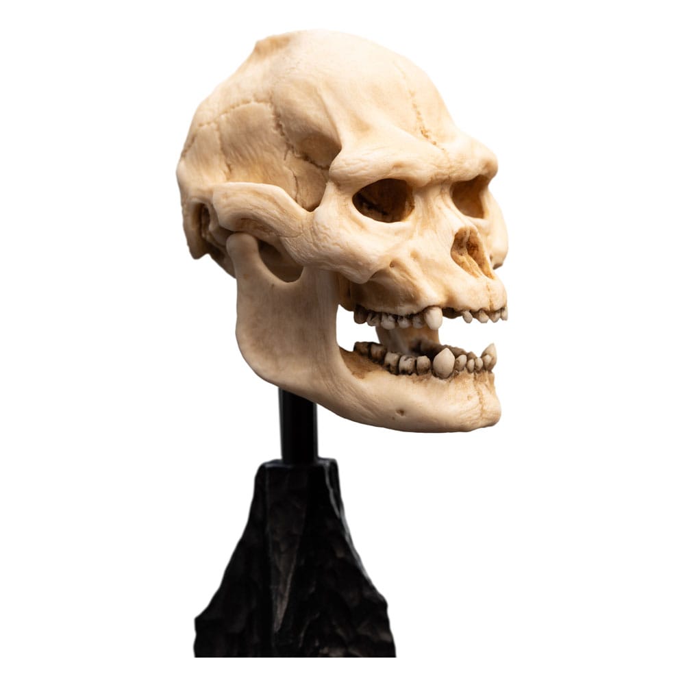 Lord of the Rings Mini Statue Skull of Lurtz 14 cm 9420024743560