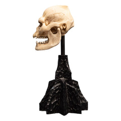 Lord of the Rings Mini Statue Skull of Lurtz 14 cm 9420024743560