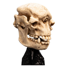 Lord of the Rings Mini Statue Skull of a Cave Troll 21 cm 9420024744277