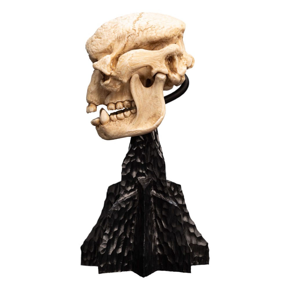 Lord of the Rings Mini Statue Skull of a Cave Troll 21 cm 9420024744277