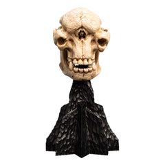 Lord of the Rings Mini Statue Skull of a Cave Troll 21 cm 9420024744277