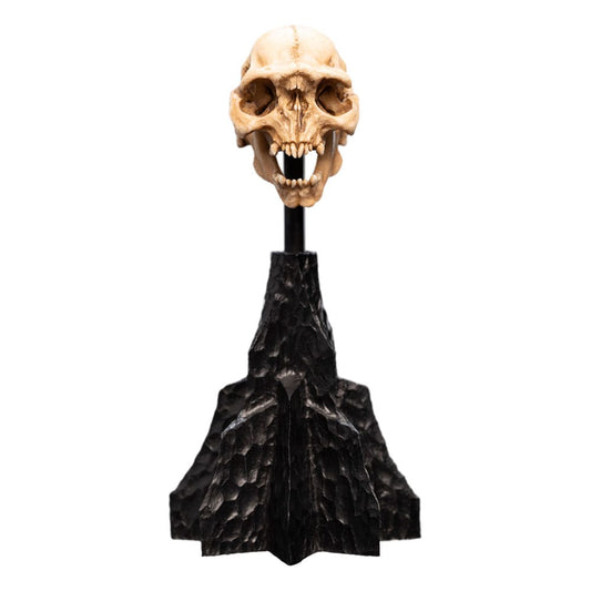 Lord of the Rings Mini Statue Skull of a Moria Orc 13 cm 9420024744291