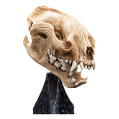 Lord of the Rings Mini Statue Skull of a Warg 20 cm 9420024745984