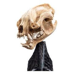 Lord of the Rings Mini Statue Skull of a Warg 20 cm 9420024745984