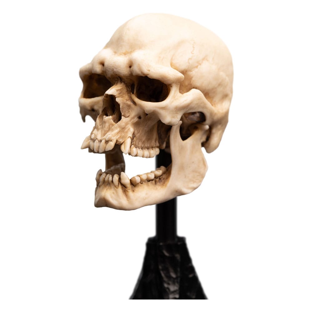 Lord of the Rings Mini Statue Skull of a Mordor Orc 14 cm 9420024745991