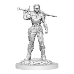 D&D Nolzur's Marvelous Miniatures Unpainted Miniatures 2-Pack Orc Fighter Female 0634482904053