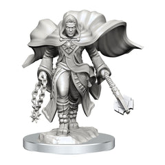 D&D Nolzur's Marvelous Miniatures Unpainted Miniatures 2-Pack Aasimar Cleric Male 0634482904084