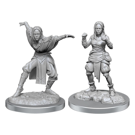 Pathfinder Battles Deep Cuts Unpainted Miniatures 2-Packs Half-Elf Monk Female Case (2) 0634482906521