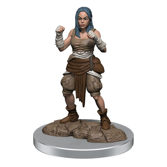 Pathfinder Battles Deep Cuts Unpainted Miniatures 2-Packs Half-Elf Monk Female Case (2) 0634482906521