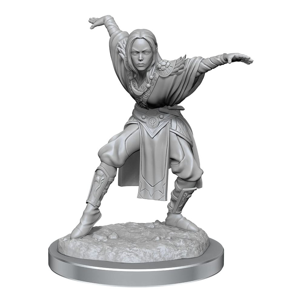 Pathfinder Battles Deep Cuts Unpainted Miniatures 2-Packs Half-Elf Monk Female Case (2) 0634482906521