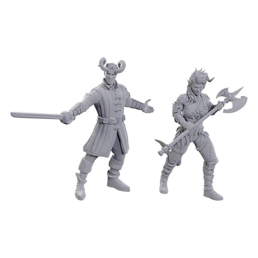 D&D Nolzur's Marvelous Miniatures Unpainted Miniature Wyll & Karlach 0634482963678