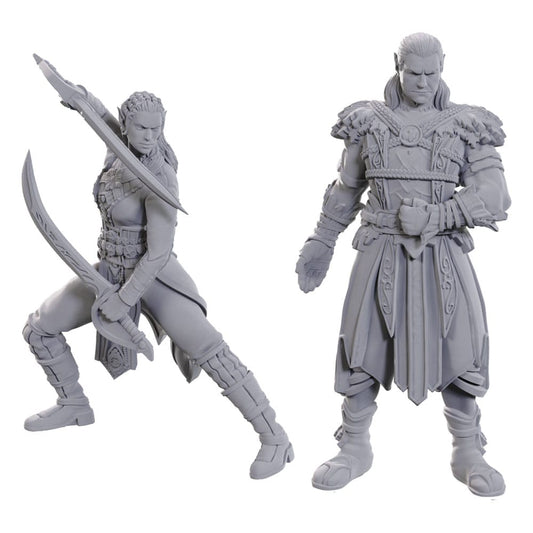 D&D Nolzur's Marvelous Miniatures Unpainted Miniature Jaheira & Halsin 0634482963685