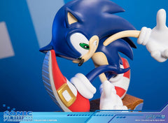  Sonic the Hedgehog: Sonic Adventure Collector's Edition PVC Statue  5060316626900